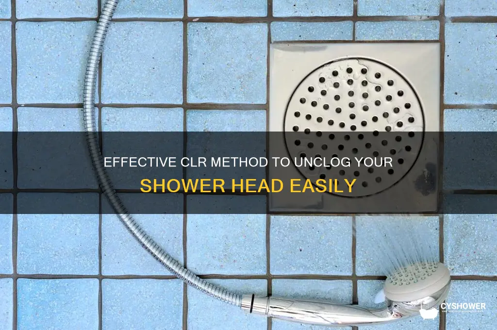 how to unclog a shower head with clr