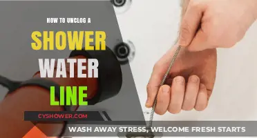 Quick Fixes: Unclogging Your Shower Water Line Like a Pro