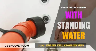 Quick Fixes to Unclog Your Shower and Drain Standing Water