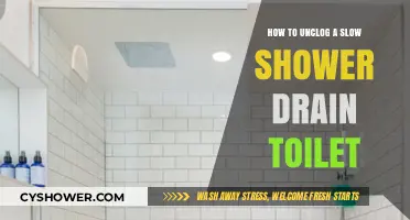 Quick Fixes to Unclog Your Slow Shower Drain and Toilet