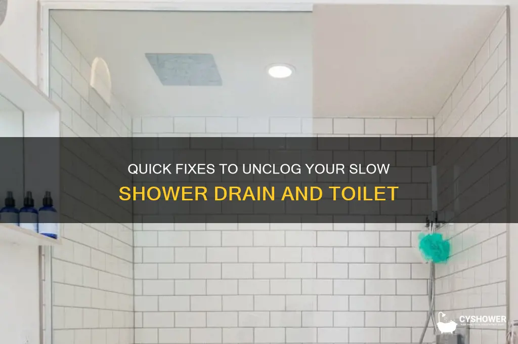 how to unclog a slow shower drain toilet