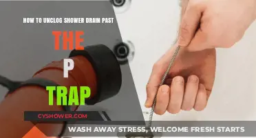 Effective Methods to Unclog Shower Drains Beyond the P-Trap