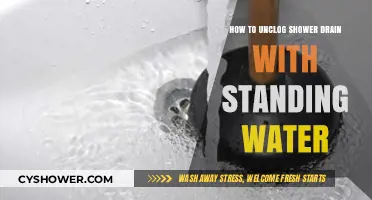 Quick Fixes: Unclog Your Shower Drain with Standing Water Easily