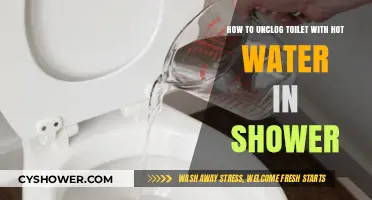 Unclog Your Toilet Easily: Hot Water Shower Method Explained