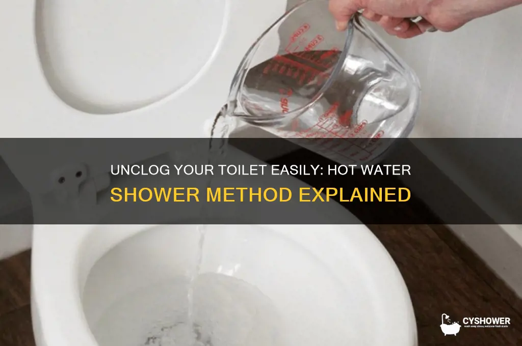 how to unclog toilet with hot water in shower