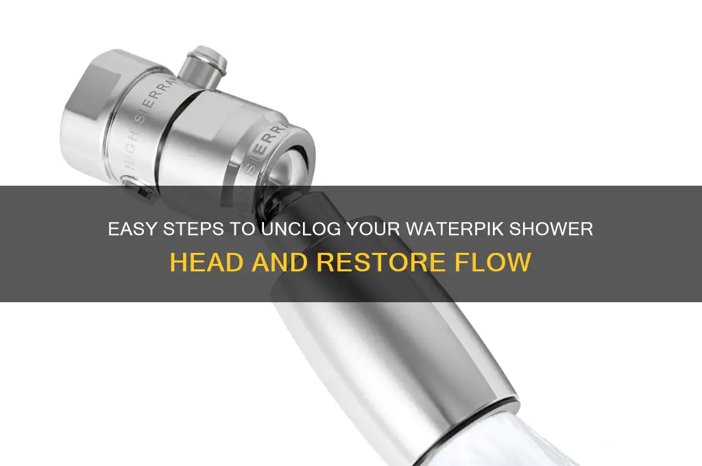 how to unclog waterpik shower head