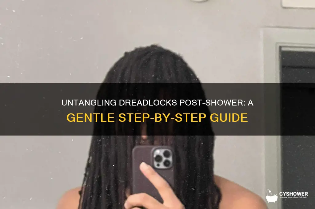 how to untangle dreads hair after shower
