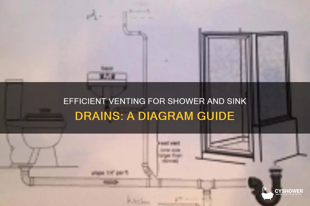 how to vent shower and sink drain diagram