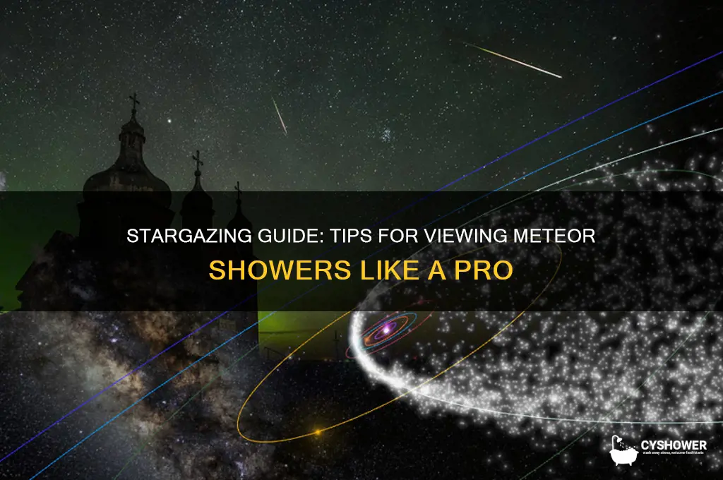 how to view a meteor shower