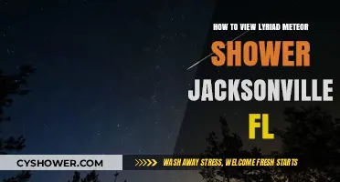 Viewing the Lyrid Meteor Shower in Jacksonville, FL: Tips and Guide