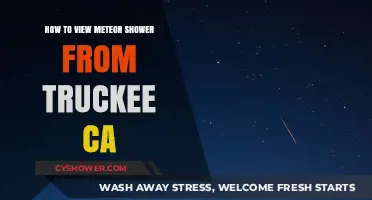 Stargazing in Truckee: Your Guide to Viewing Meteor Showers
