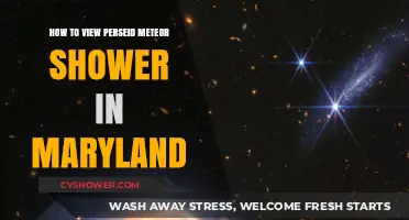 Maryland's Perseid Meteor Shower: Best Viewing Tips and Locations