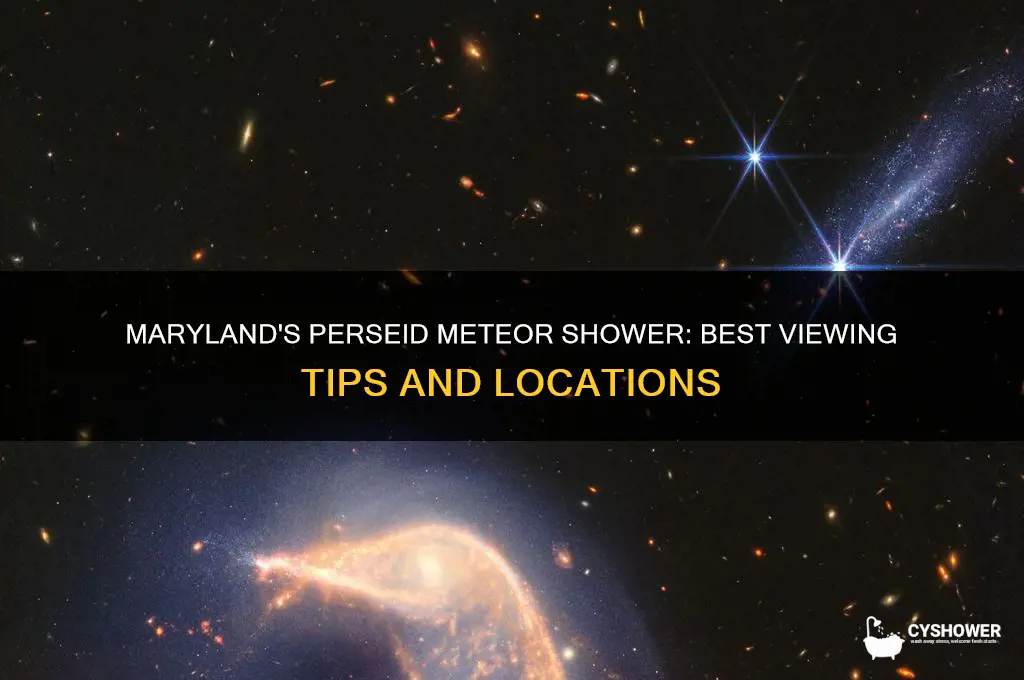 how to view perseid meteor shower in maryland