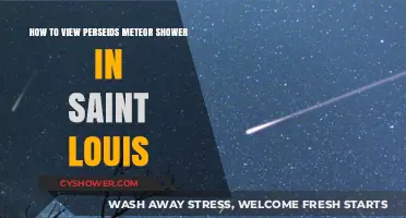Stargazing in STL: Your Guide to Viewing the Perseids Meteor Shower
