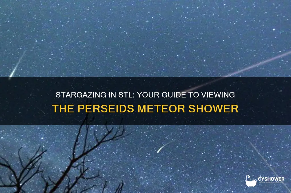 how to view perseids meteor shower in saint louis