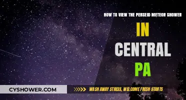Central PA's Perseid Meteor Shower Viewing Guide: Tips & Locations