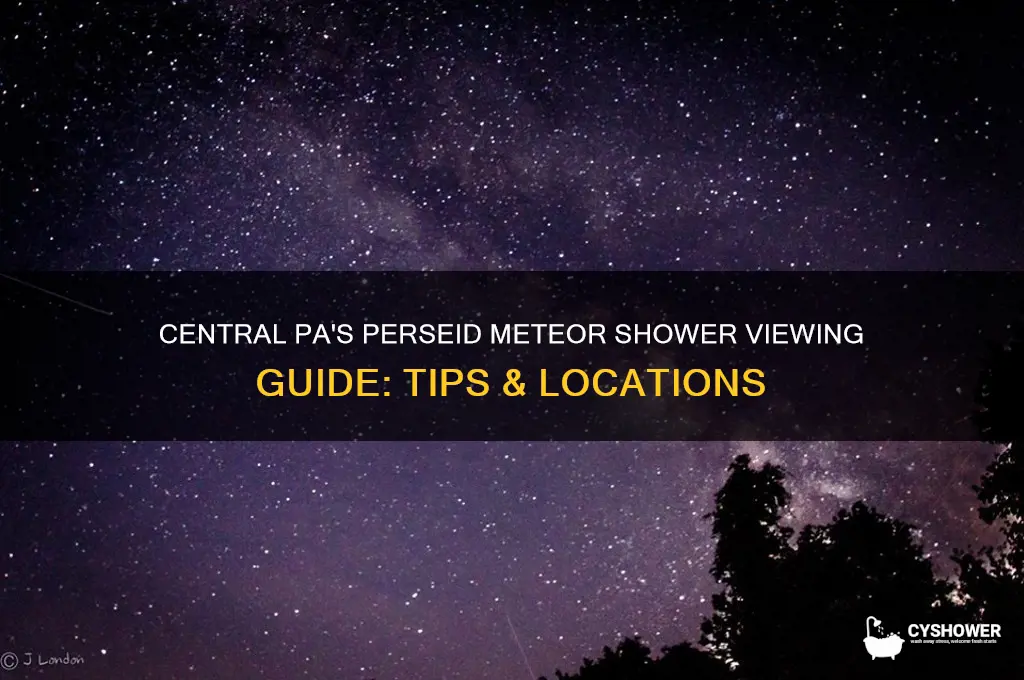 how to view the perseid meteor shower in central pa