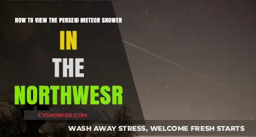 Best Viewing Tips for the Perseid Meteor Shower in the Northwest