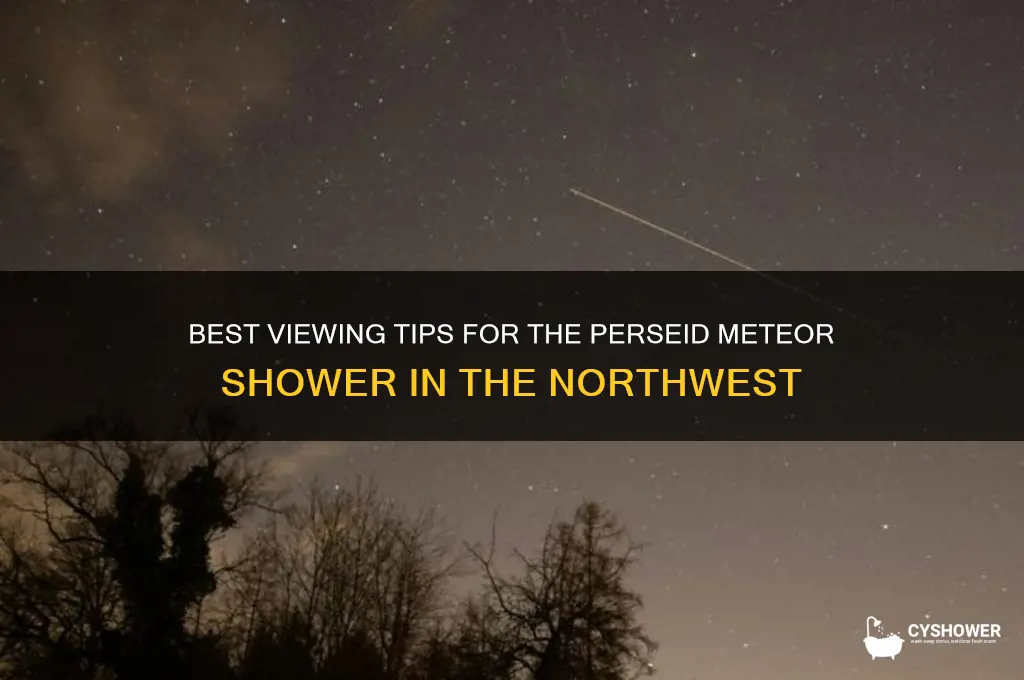 how to view the perseid meteor shower in the northwesr