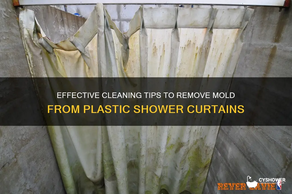 how to wash a moldy plastic shower curtain