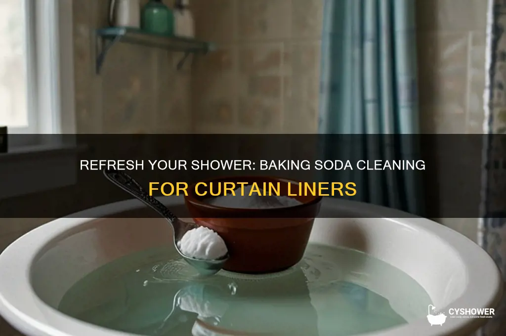 how to wash a shower curtain liner with baking soda