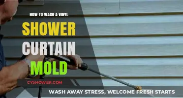 Effective Ways to Clean Mold from Vinyl Shower Curtains