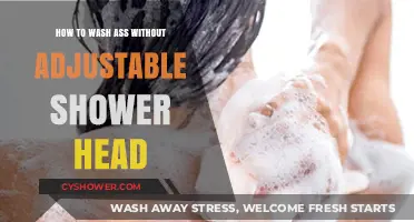 Mastering Hygiene: Washing Your Rear Without an Adjustable Shower Head