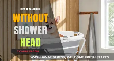 Easy Dog Bathing Tips: Washing Your Pup Without a Shower Head