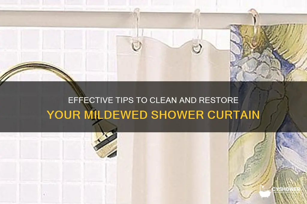 how to wash mildewed shower curtain