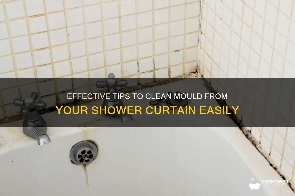 how to wash mould off shower curtain