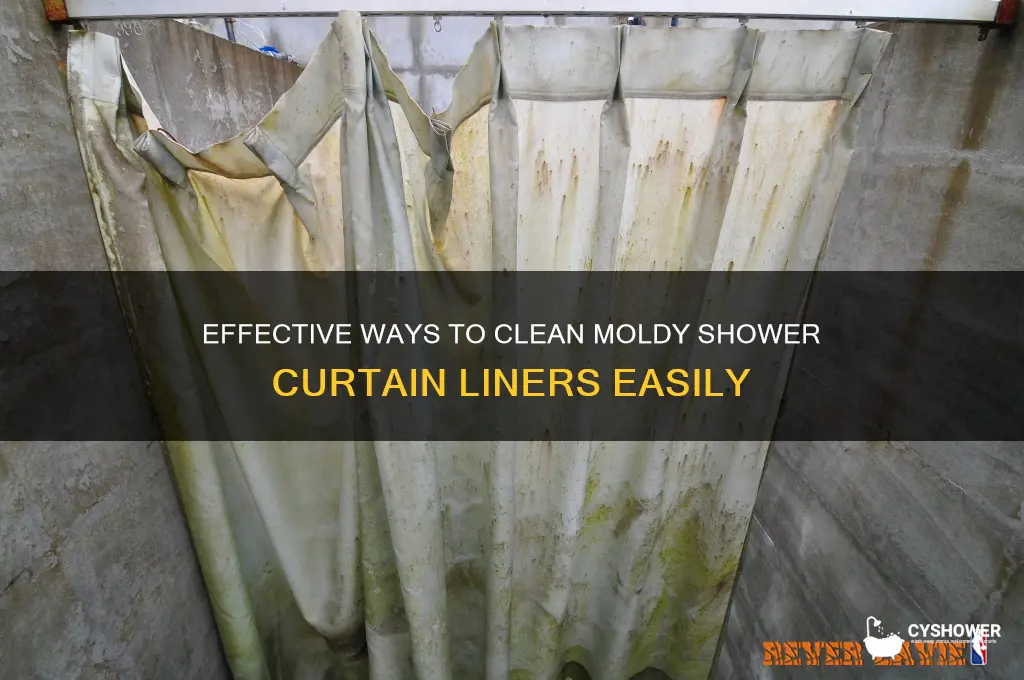 how to wash shower curtain liner with mold