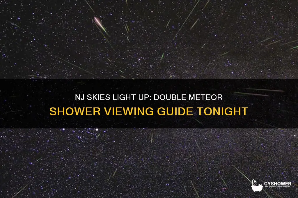 how to watch double meteor shower tonight over nj skies