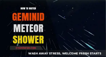 Stargazing Guide: Best Tips to Watch the Geminid Meteor Shower