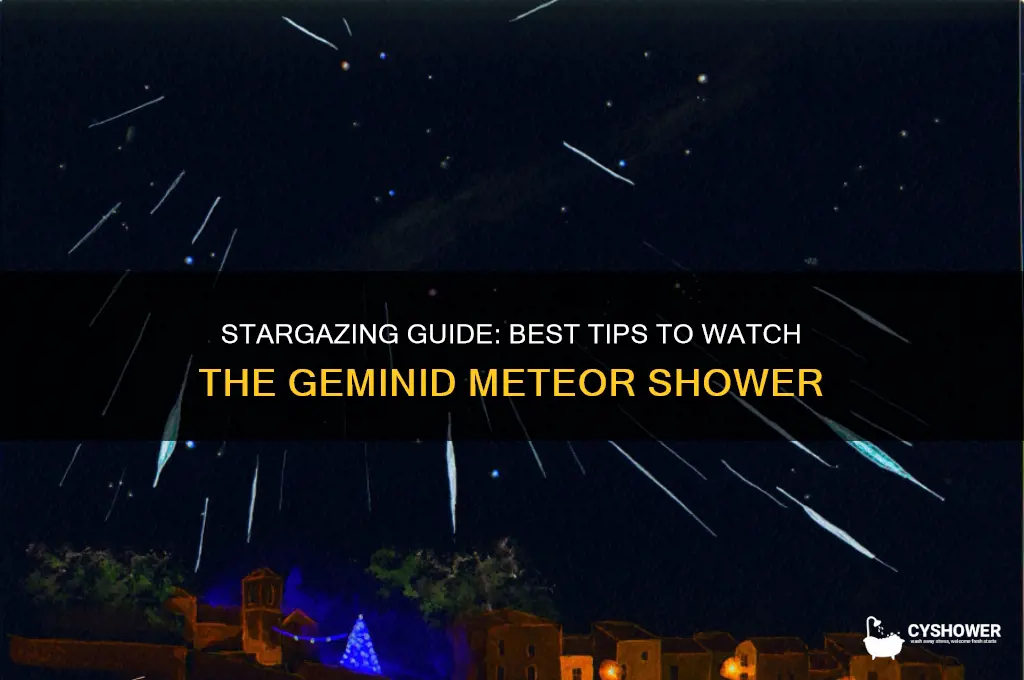 how to watch geminid meteor shower