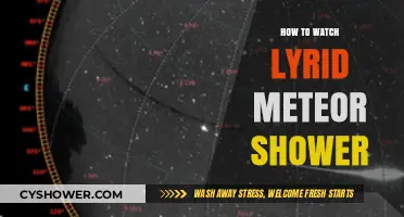 Best Tips to Watch the Lyrid Meteor Shower This Year