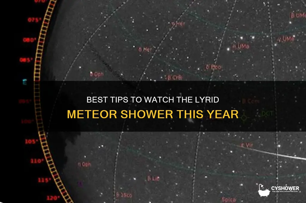 how to watch lyrid meteor shower