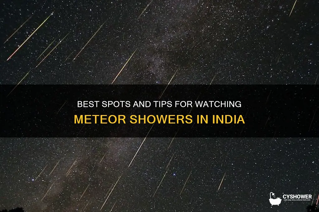 how to watch meteor shower in india