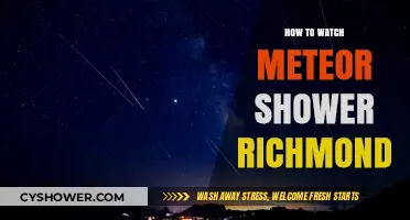 Richmond's Meteor Shower Guide: Best Spots & Tips for Stargazing