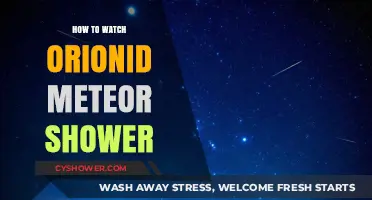 Stargazing Guide: Best Tips to Watch the Orionid Meteor Shower