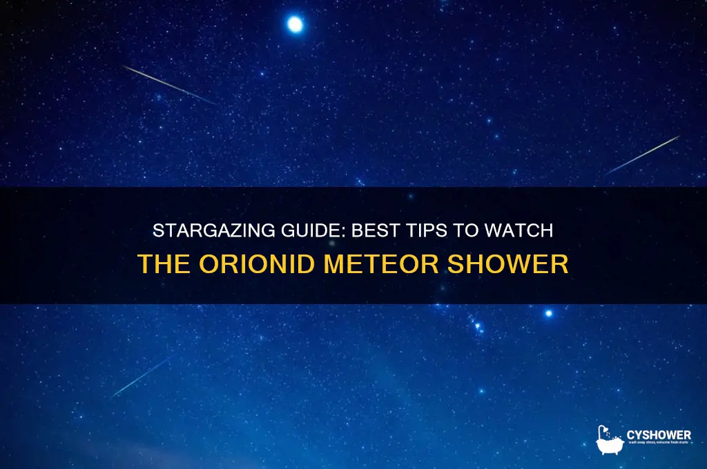 how to watch orionid meteor shower