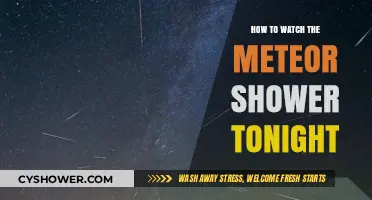 Stargazing Guide: Watch Tonight's Meteor Shower with These Easy Tips
