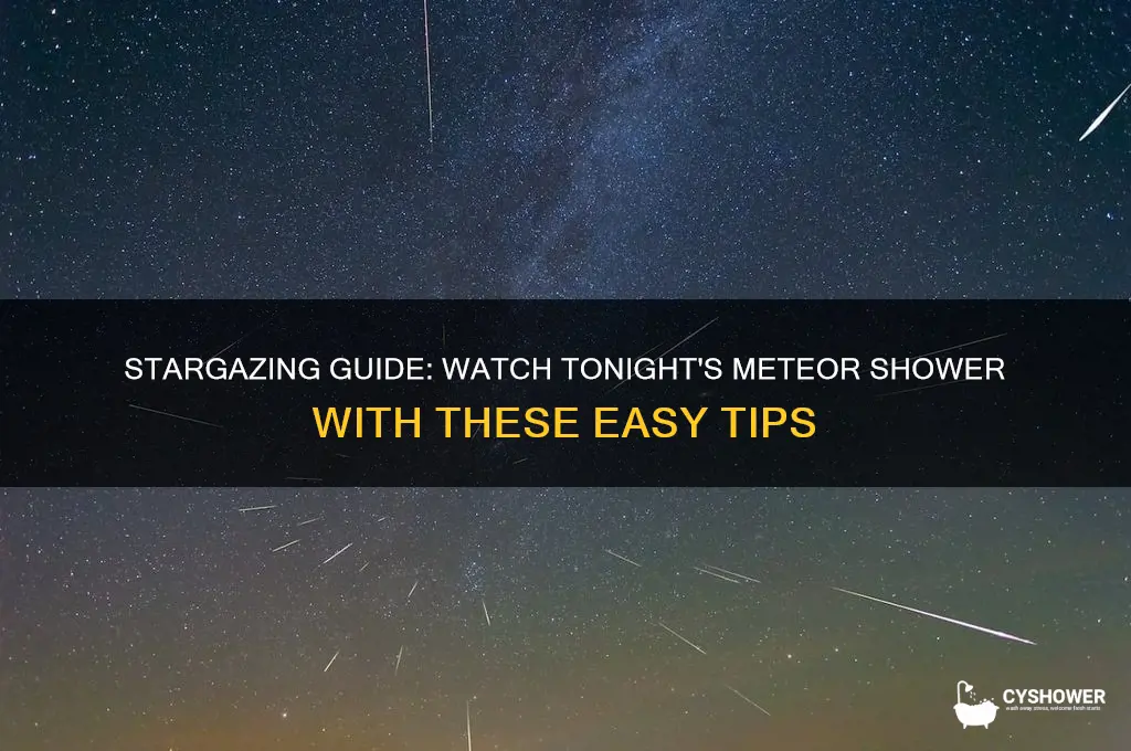 how to watch the meteor shower tonight