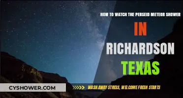 Best Spots in Richardson, Texas to Watch the Perseid Meteor Shower