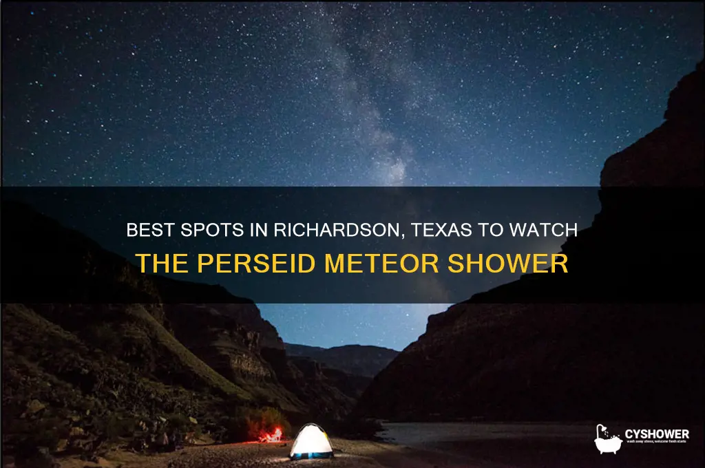 how to watch the perseid meteor shower in richardson texas