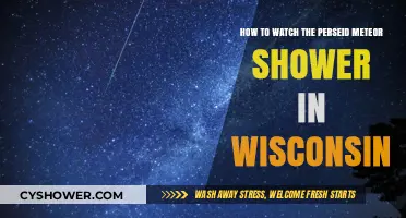 Wisconsin's Perseid Meteor Shower Guide: Best Viewing Tips & Spots