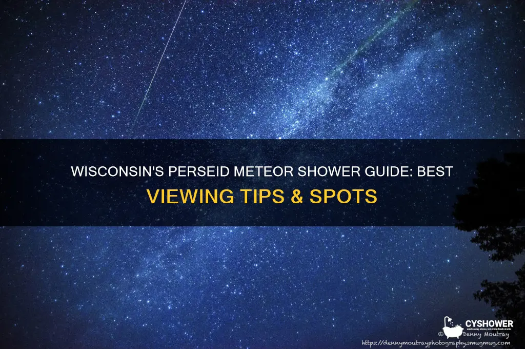 how to watch the perseid meteor shower in wisconsin