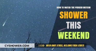 Catch the Perseids: Your Weekend Meteor Shower Viewing Guide