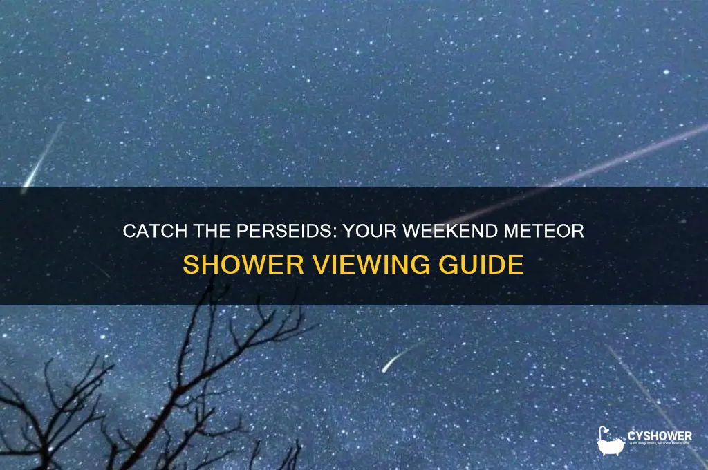 how to watch the perseid meteor shower this weekend