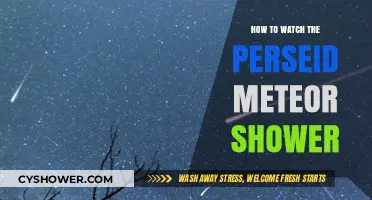 Best Tips for Watching the Perseid Meteor Shower This Year