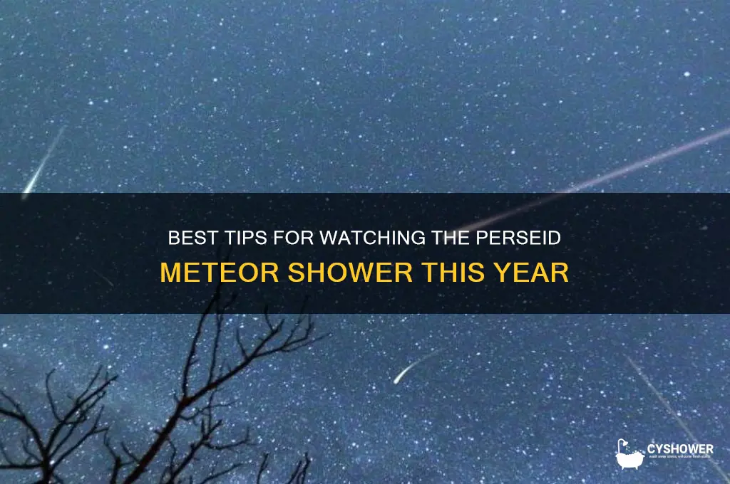 how to watch the perseid meteor shower